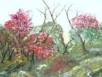 zur Gro&szlig;ansicht